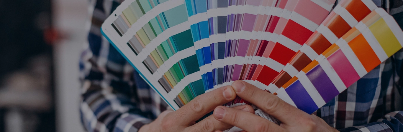 Color Palette